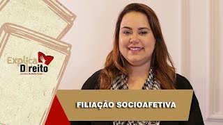 Explica Direito Filiação Socioafetiva  2019 [upl. by Eltsirhc]